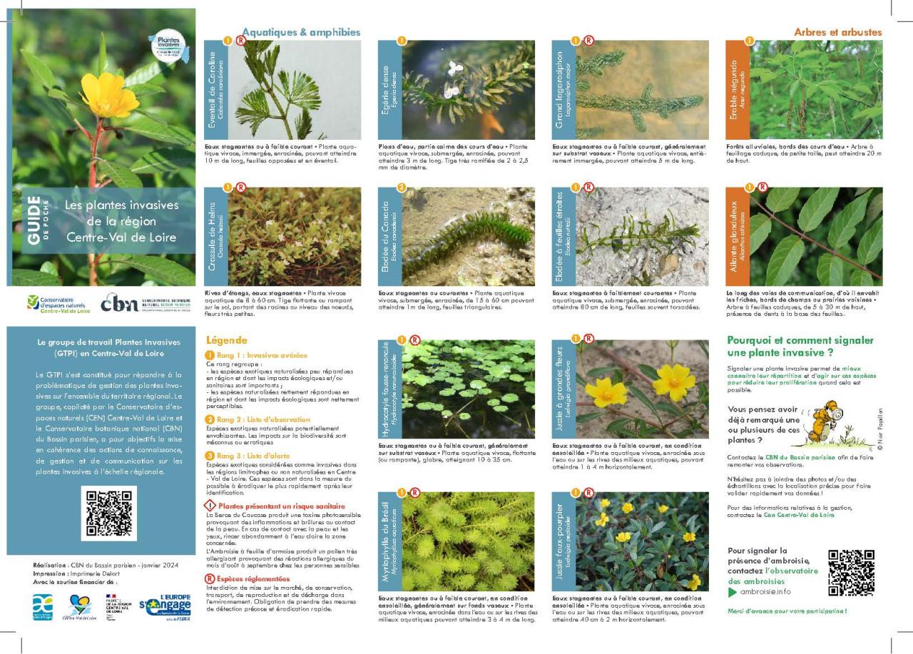 liste des plantes invasives recensées en Centre-Val de Loire