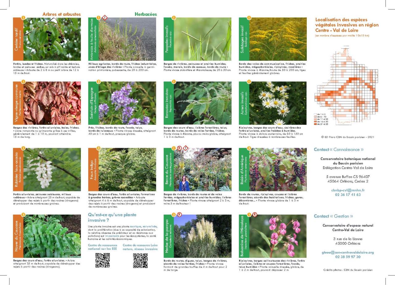 liste des plantes invasives recensées en Centre-Val de Loire